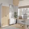 Picture of ARCHIVE CABINET BP-TG5/1200 PRO